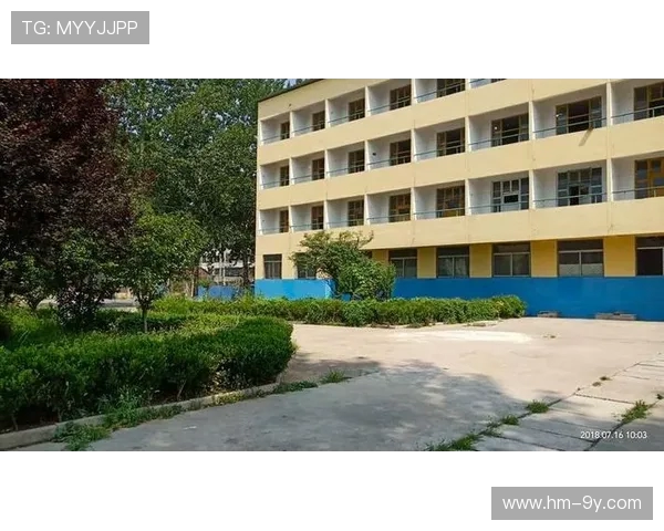 以新泰羊流镇足球场为核心打造区域体育文化发展愿景宏伟蓝图展望